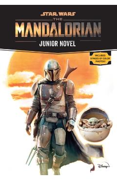 Star Wars: The Mandalorian Junior Novel - Joe Schreiber