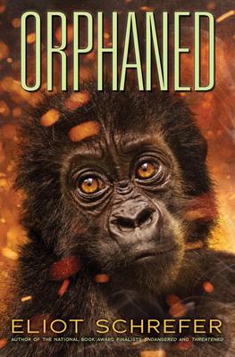 Orphaned (Ape Quartet #4), Volume 4 - Eliot Schrefer