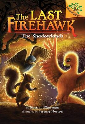 The Shadowlands: A Branches Book (the Last Firehawk #5) (Library Edition), 5 - Katrina Charman