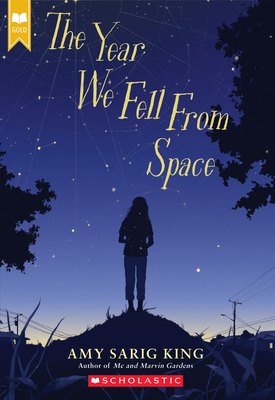 The Year We Fell from Space (Scholastic Gold) - Amy Sarig King