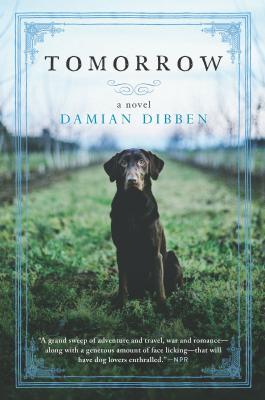 Tomorrow - Damian Dibben