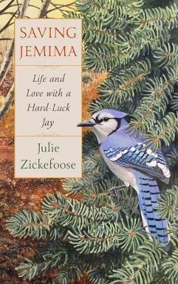 Saving Jemima: Life and Love with a Hard-Luck Jay - Julie Zickefoose
