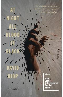 At Night All Blood Is Black - David Diop