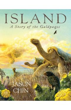 Island: A Story of the Galpagos - Jason Chin
