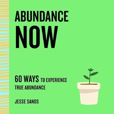 Abundance Now: 60 Ways to Experience True Abundance - Jesse Sands