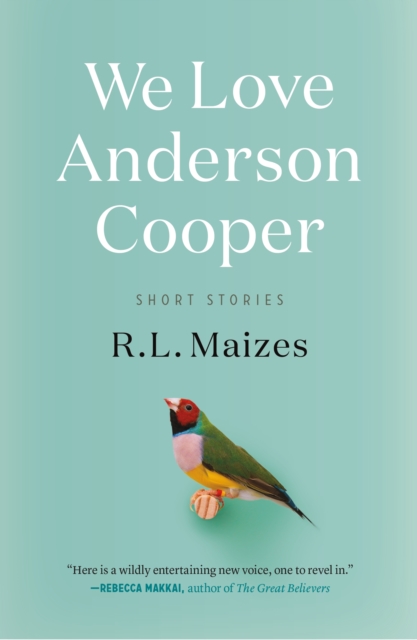 We Love Anderson Cooper: Short Stories - R. L. Maizes