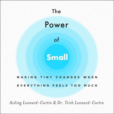 The Power of Small: Making Tiny Changes When Everything Feels Too Much - Aisling Leonard-curtin
