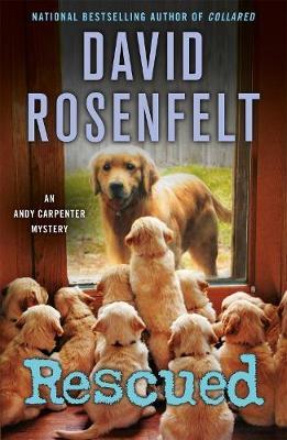 Rescued: An Andy Carpenter Mystery - David Rosenfelt