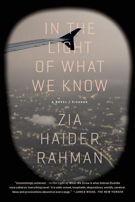 In the Light of What We Know - Zia Haider Rahman
