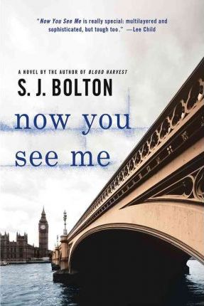 Now You See Me: A Lacey Flint Novel - Sharon Bolton