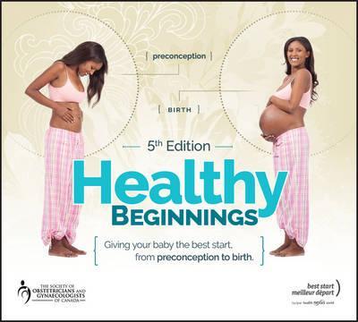 Healthy Beginnings: Giving Your Baby the Best Start, from Preconception to Birth - Nan Schuurmans