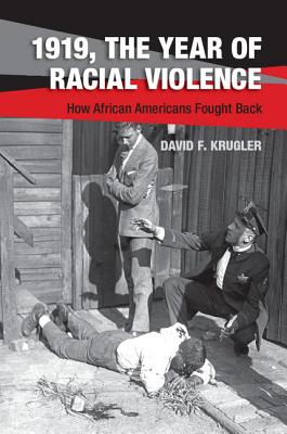 1919, The Year of Racial Violence - David F. Krugler