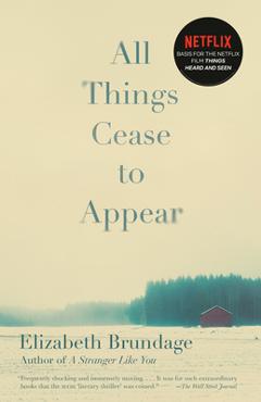 Coperta cărții 'All Things Cease to Appear - Elizabeth Brundage'
