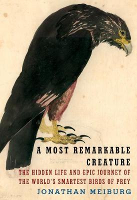A Most Remarkable Creature: The Hidden Life and Epic Journey of the World's Smartest Birds of Prey - Jonathan Meiburg