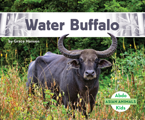Water Buffalo - Grace Hansen