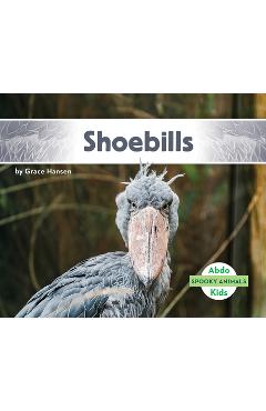 Coperta cărții 'Shoebills - Grace Hansen'