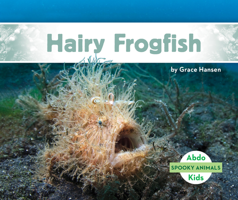 Hairy Frogfish - Grace Hansen