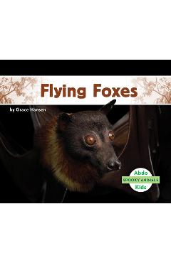 Coperta cărții 'Flying Foxes - Grace Hansen'