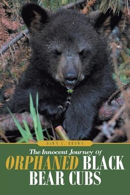 The Innocent Journey of Orphaned Black Bear Cubs - Dawn L. Brown