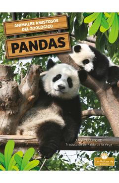 Coperta cărții 'Osos Panda - Amy Culliford'