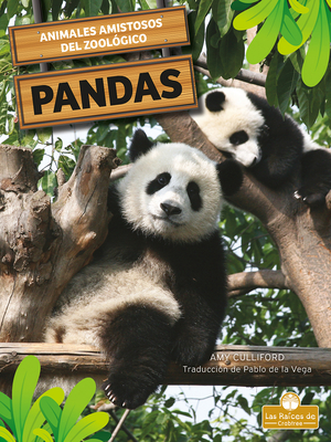 Coperta cărții 'Osos Panda - Amy Culliford'