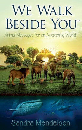 We Walk Beside You: Animal Messages for an Awakening World - Sandra Mendelson