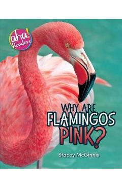Coperta cărții 'Why Are Flamingos Pink? - Stacey Mcginnis'