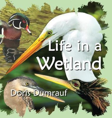 Life In A Wetland - Doris Dumrauf