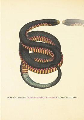 Ideal Suggestions: Essays in Divinatory Poetics - Selah Saterstrom