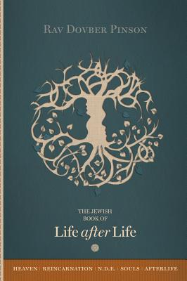 The Book of Life After Life - Dovber Pinson