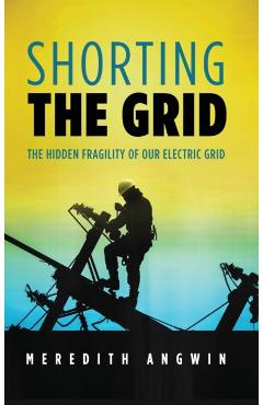 Shorting the Grid: The Hidden Fragility of Our Electric Grid - Meredith Angwin