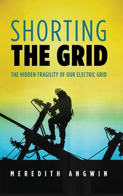 Shorting the Grid: The Hidden Fragility of Our Electric Grid - Meredith Angwin