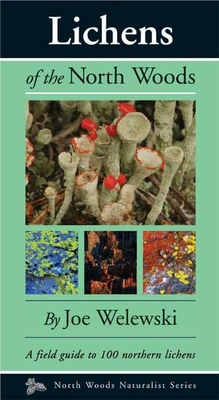 Lichens of the North Woods - Joe Walewski