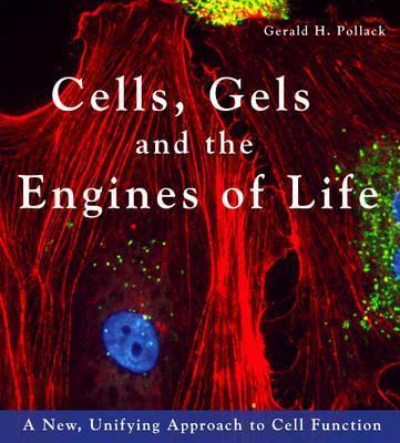 Cells, Gels and the Engines of Life: A New Unifying Approach to Cell Function - Gerald H. Pollack