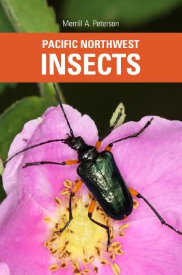 Pacific Northwest Insects - Merrill A. Peterson