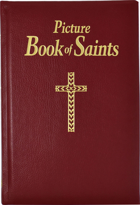 Picture Book of Saints: Illustrated Lives of the Saints for Young and Old - Lawrence G. Lovasik