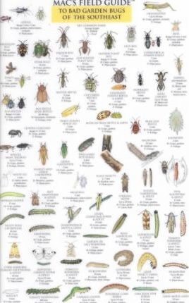 Mac's Field Guides: Southeast Garden Bugs - Craig Macgowan