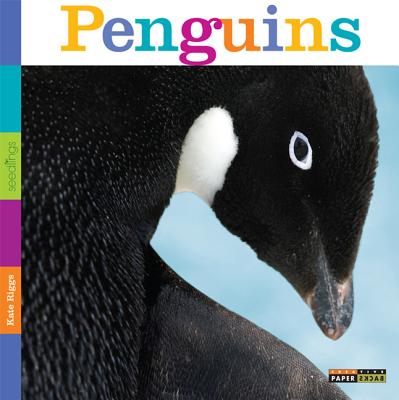 Seedlings: Penguins - Kate Riggs