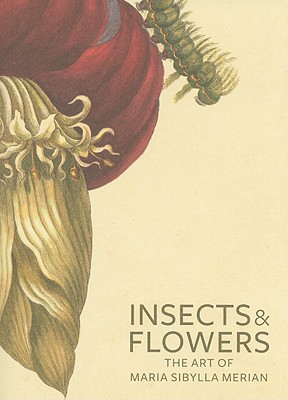 Insects and Flowers: The Art of Maria Sibylla Merian - David Brafman