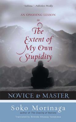 Novice to Master: An Ongoing Lesson in the Extent of My Own Stupidity - Soko Morinaga