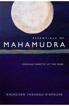 Poza produsului Essentials of Mahamudra: Looking Directly at the Mind - Thrangu