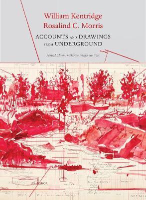 Accounts and Drawings from Underground: The East Rand Proprietary Mines Cash Book - William Kentridge