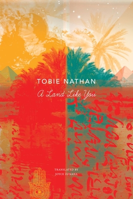 A Land Like You - Tobie Nathan