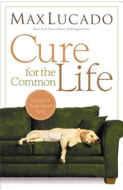 Poza produsului Cure for the Common Life - Max Lucado