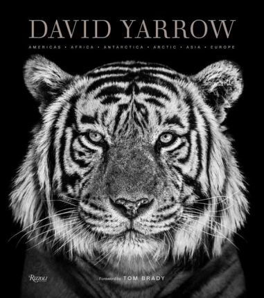 David Yarrow Photography: Americas Africa Antarctica Arctic Asia Europe - David Yarrow