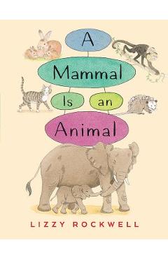 Coperta cărții 'A Mammal Is an Animal - Lizzy Rockwell'
