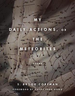 My Daily Actions, or the Meteorites - S. Brook Corfman