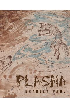 Coperta cărții 'Plasma - Bradley Paul'
