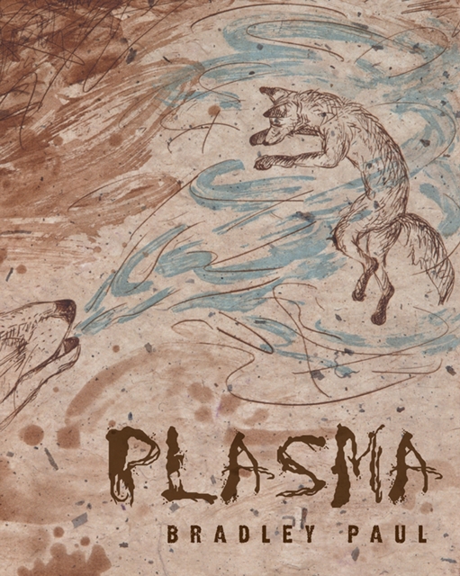 Plasma - Bradley Paul