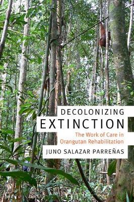 Decolonizing Extinction: The Work of Care in Orangutan Rehabilitation - Juno Salazar Parre�as